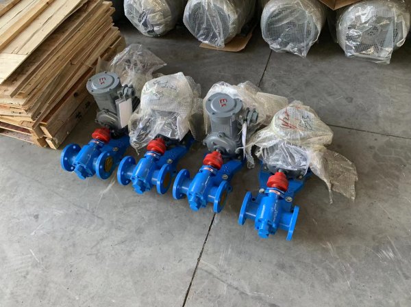 無錫一方泵業(yè) 注油齒輪泵